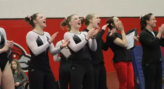 TeamCelebration