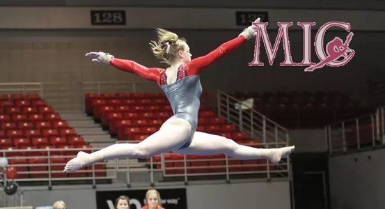MeganFosnowMICBanner