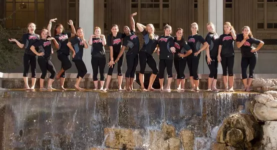 2014GymnasticsBanner