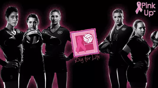 Dig_For_Life_TeamBanner
