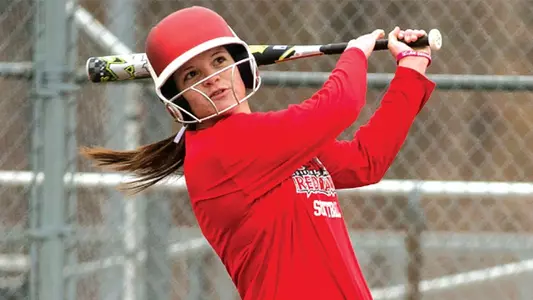 2015 Softball Guide