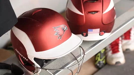 Softball Helmets