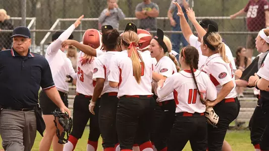 2015 Softball Celebration