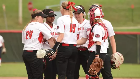 2015 Softball Team