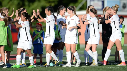 2017 Soccer Team Huddle