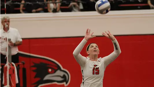 Allie Henkelman Banner 2017