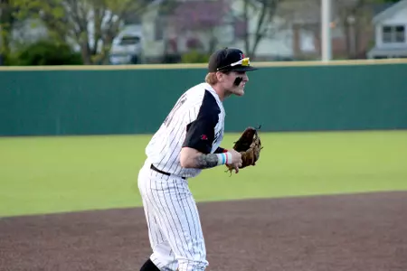 Baseball_Nieslen