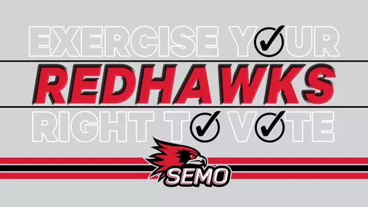 Voter Information Banner