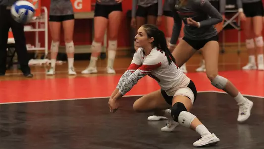 Tara_Beilsmith_2021_BANNER.jpg