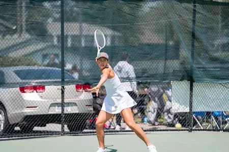 Calinescu Action