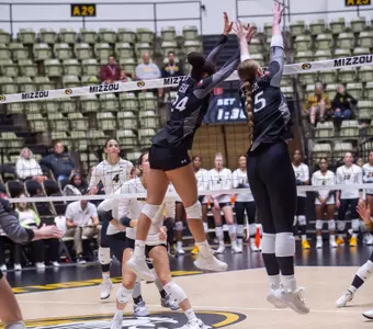 VB Action