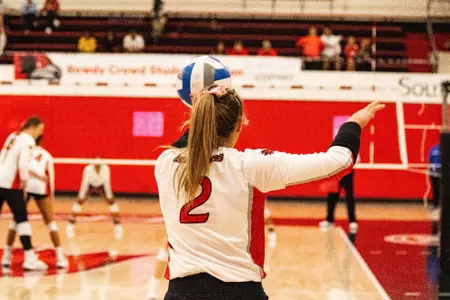 Arndt_VBall