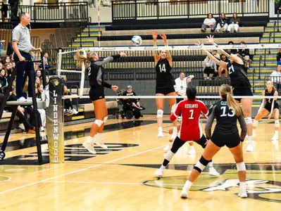 VB Action