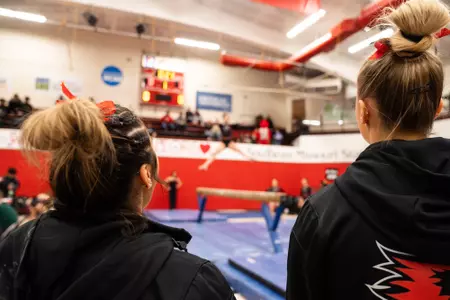 Gymnastics_2024
