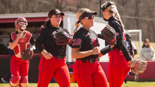 2025 Softball Group Team