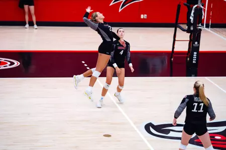 VBALL_Murray
