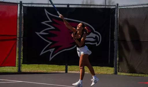 Kozakova SIUE 3