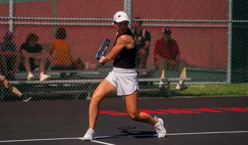 Zemtsova SIUE 1