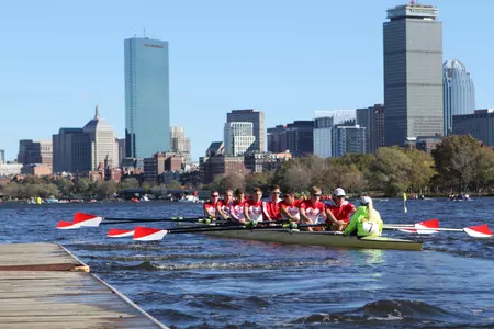 1v HOCR