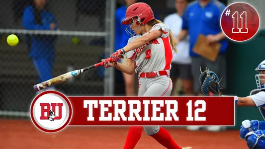 2017 Terrier 12 - Softball # 11 graphic