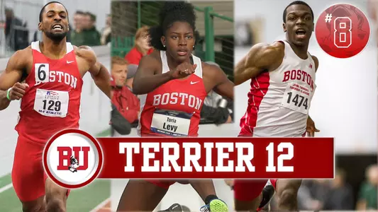 Track Terrier 12