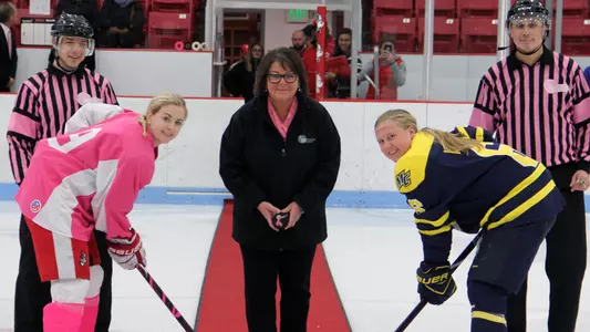 Skating Strides 2018