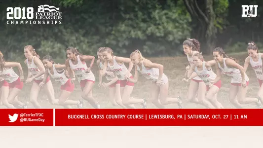 WXC Preview