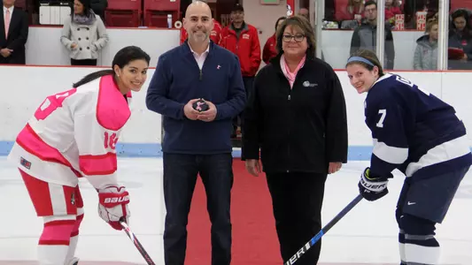 2018-19 Skating Strides Game