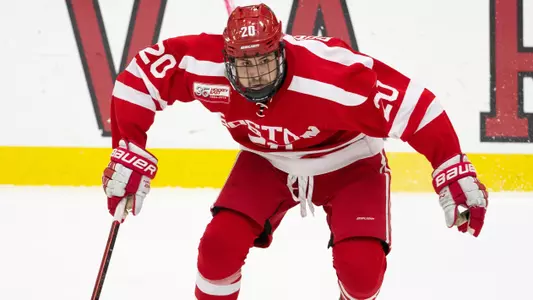 Matthew Quercia vs. Harvard