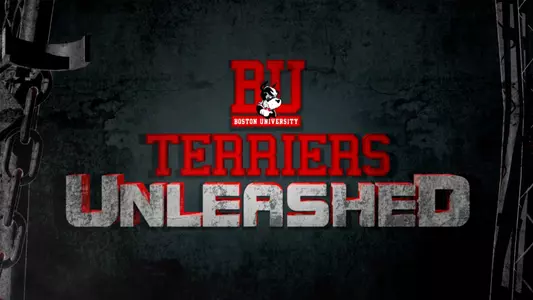 Terriers Unleashed