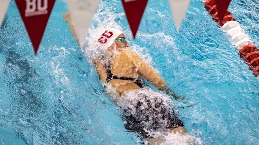 Sezin Eligul - 100 free