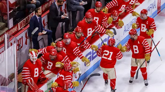 BU bench celeb vs. BC