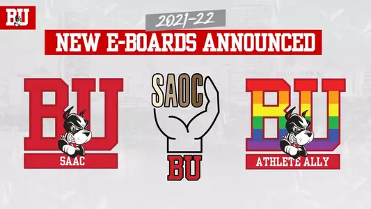 Graphic with logos of SAAA, SAOC and Athlete Ally