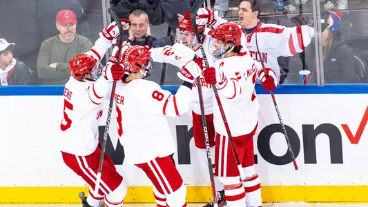 Four men's ice hockey players celebrating a goal