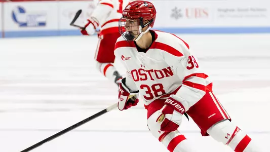 Kamil Bednarik playing hockey