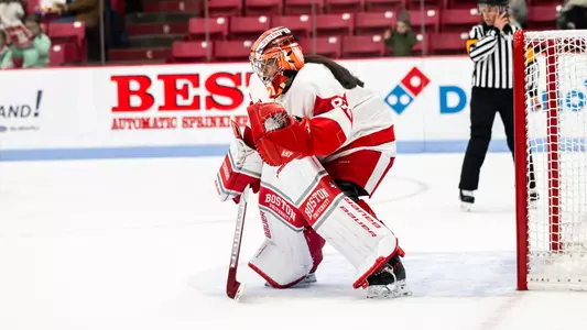 Mari Pietersen in the crease during a hockey game