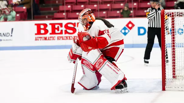 Mari Pietersen in the crease during a hockey game