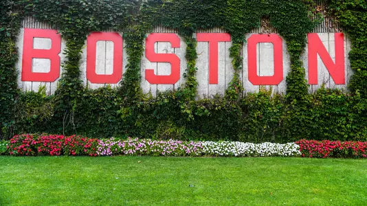 Boston Ivy Wall