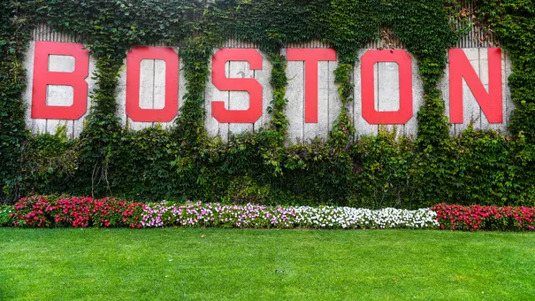 Boston Ivy Wall