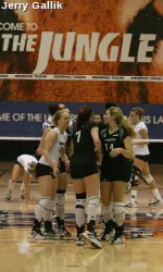 The Tiger volleyball team is hosting the Conference USA Volleyball Championships for the first time in school history in November. Fans can support the team by purchasing their tournament tickets in advance by contacting the Ticket Office at 901-678-2331.