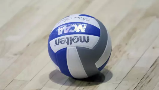 Volleyball, 2016 Volleyball