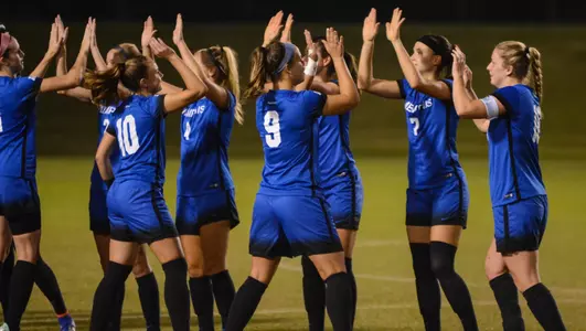 Team celebration huddle