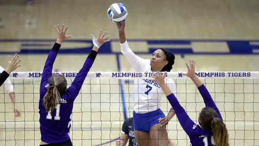 Summer Morgan, 2016 Volleyball