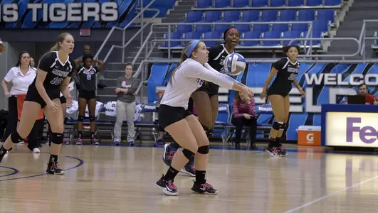 Mady Ruhlman, 2017 Volleyball