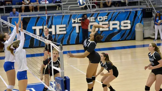Tai Bierria, 2017 Volleyball