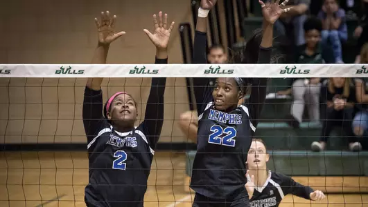 Brianna Kadiku, 2017 Volleyball