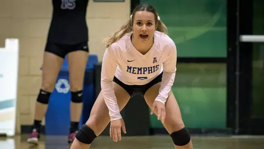 Alyssa Kronberg, 2017 Volleyball