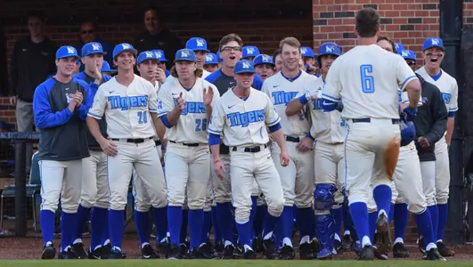 Celebration, huddle, team