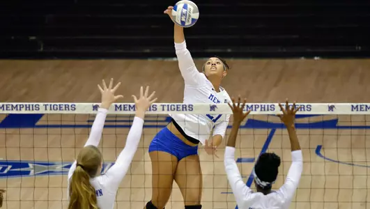 Tai Bierria, 2017 Volleyball