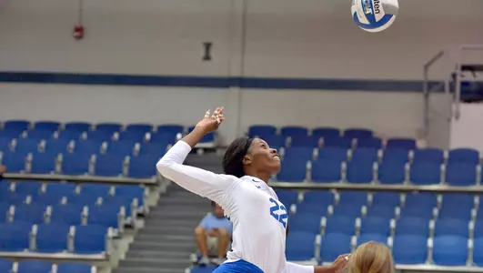 Brianna Kadiku, 2017 Volleyball